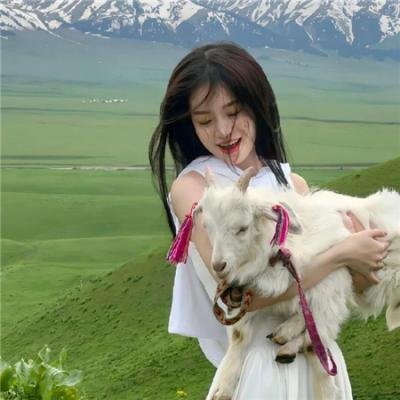 机器猛犬