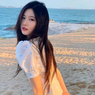向政府说不